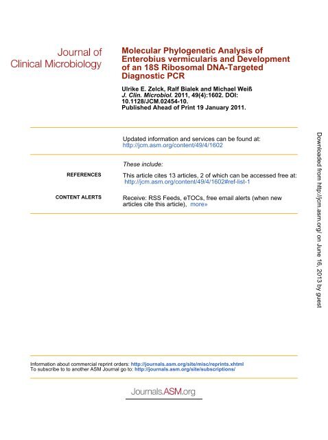 Molecular Phylogenetic Analysis of Enterobius vermicularis and ...