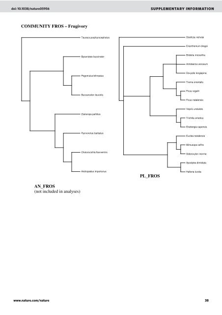 SUPPLEMENTARY INFORMATION - Paulo R. Guimarães Jr.