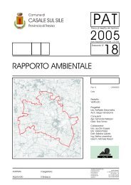 RAPPORTO AMBIENTALE - Comune di Casale sul Sile