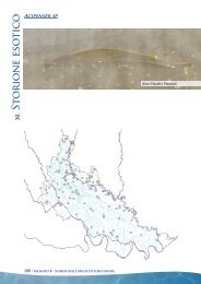 B_specie alloctone - Provincia di Lodi