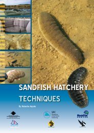 Sandfish hatchery techniques - English version - ACIAR