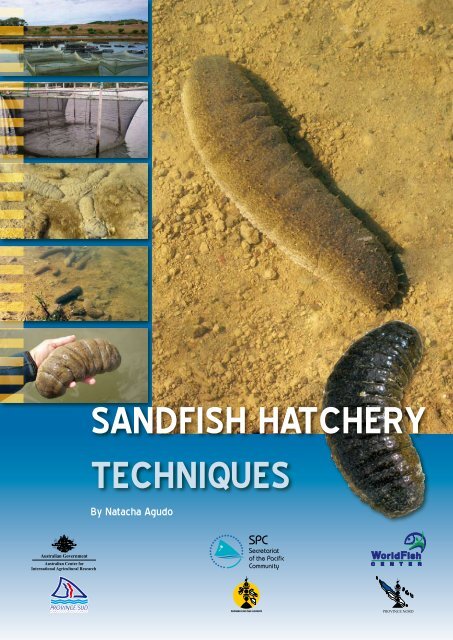 Sandfish hatchery techniques - English version - ACIAR