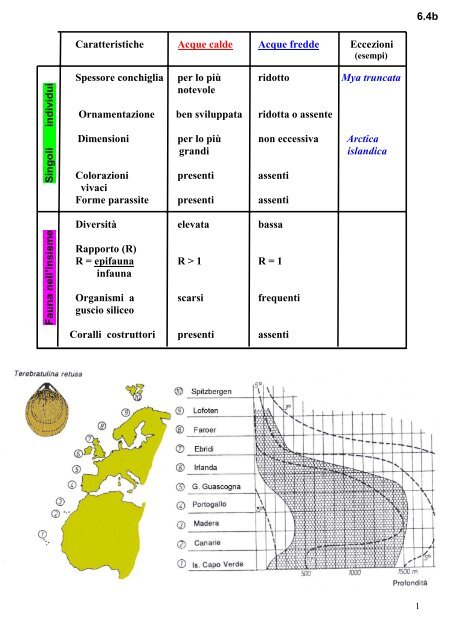 6.00 Paleoecologia - Scienze della terra