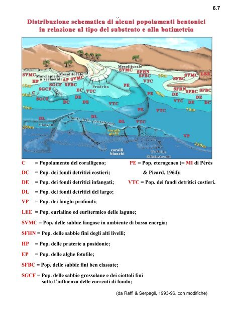 6.00 Paleoecologia - Scienze della terra