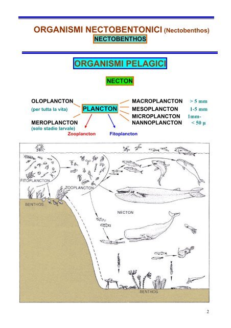 6.00 Paleoecologia - Scienze della terra