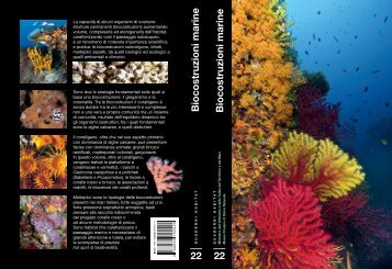 A.A. Quaderni habitat: Biocostruzioni 2009.pdf