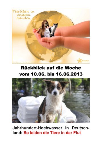 Rückblick auf die Woche vom 10.06. bis 16.06.2013