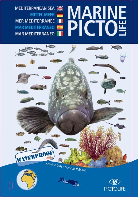 Book Medi 2012.pdf