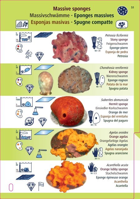 Book Medi 2012.pdf