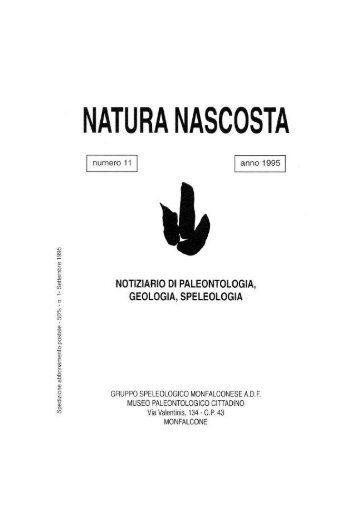 Natura Nascosta n° 11 - Il museo paleontologico