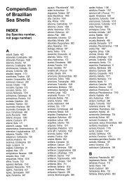 Compendium of Brazilian Sea Shells by E.C.Rios, 2009