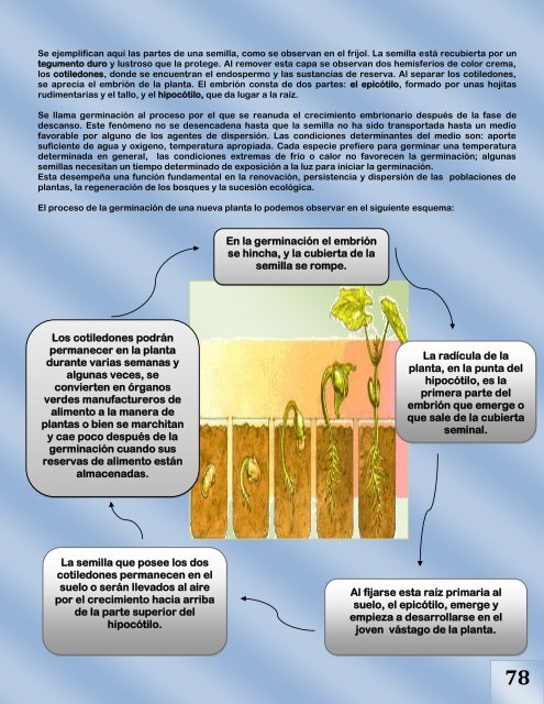 libro de ciencias naturales noveno grado jrd2013