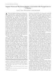 Equine Protozoal Myeloencephalitis Associated with Neosporosis in ...