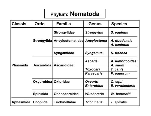 Zoologija 3