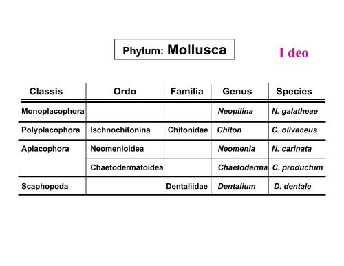 Zoologija 3