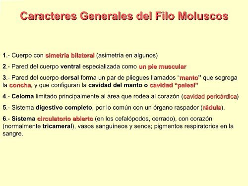 Filo Moluscos - Iesmaritimopesquerolp.org