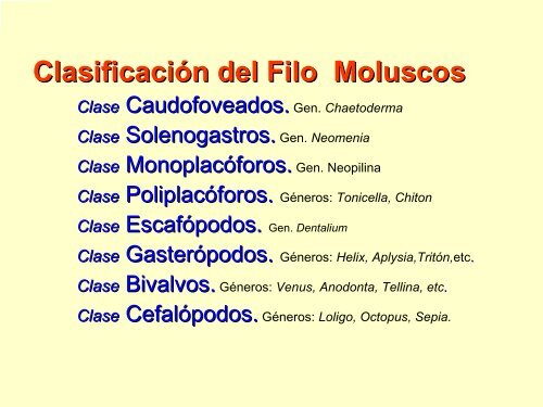 Filo Moluscos - Iesmaritimopesquerolp.org