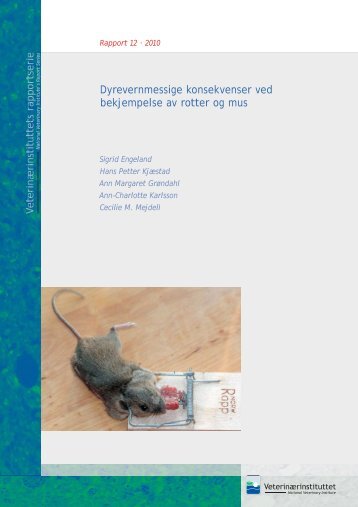 Dyrevernmessige konsekvenser ved bekjempelse av rotter og mus