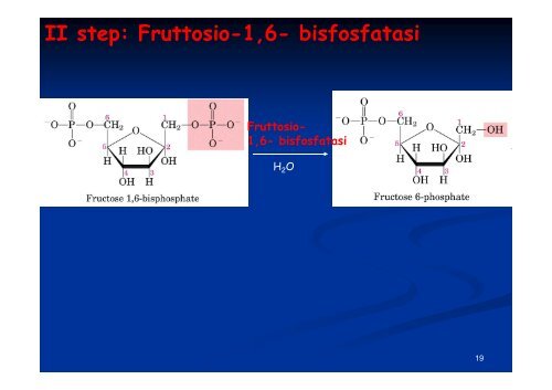 Regolazione del metabolismo del glucosio