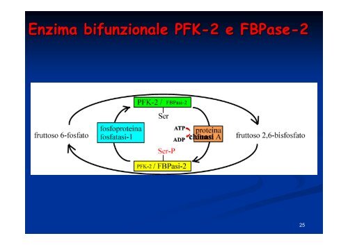 Regolazione del metabolismo del glucosio