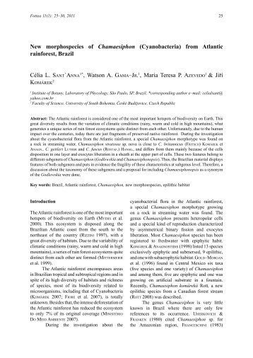 New morphospecies of Chamaesiphon (Cyanobacteria ... - Fottea