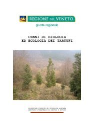 Cenni di biologia ed ecologia dei tartufi - Regione Veneto