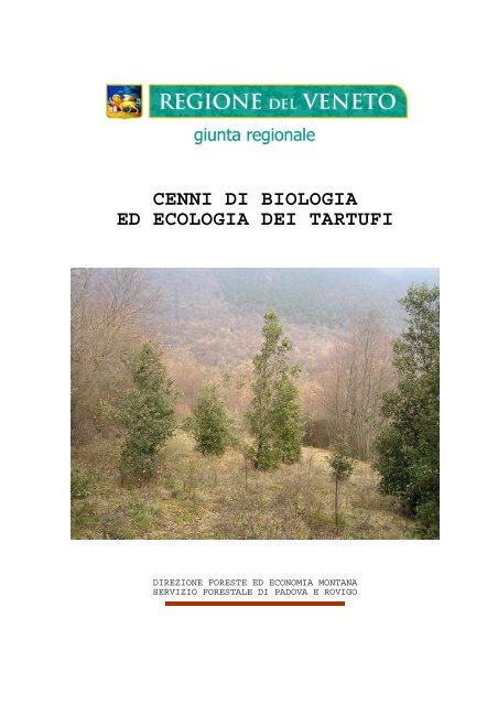 Cenni di biologia ed ecologia dei tartufi - Regione Veneto