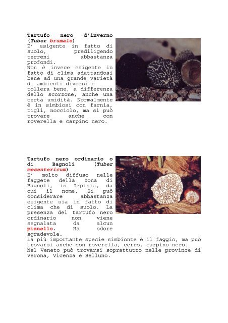 Cenni di biologia ed ecologia dei tartufi - Regione Veneto