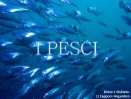 Pesci cartilaginei