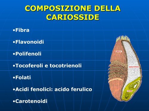 RISCONTRI MEDICI CEREALI VARIETA' ANTICHE - VenezianoGas