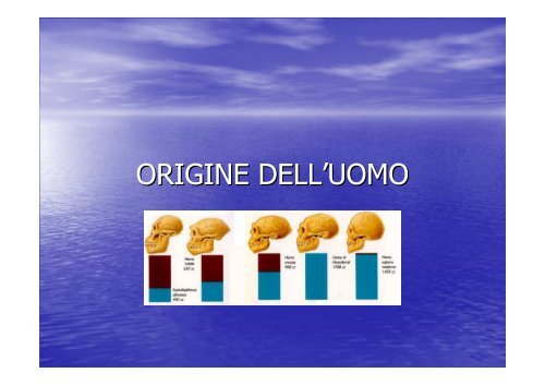 Datazione foresta di Dean