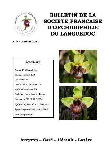 B8 final - Orchidées du Languedoc