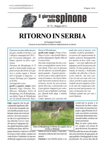 RITORNO IN SERBIA - giornale dello spinone