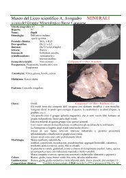 Opale. Ossidi.prov.Casellette Torino scheda n 39.pdf