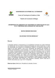 Mateus Mendes Machado.pdf - Unesc