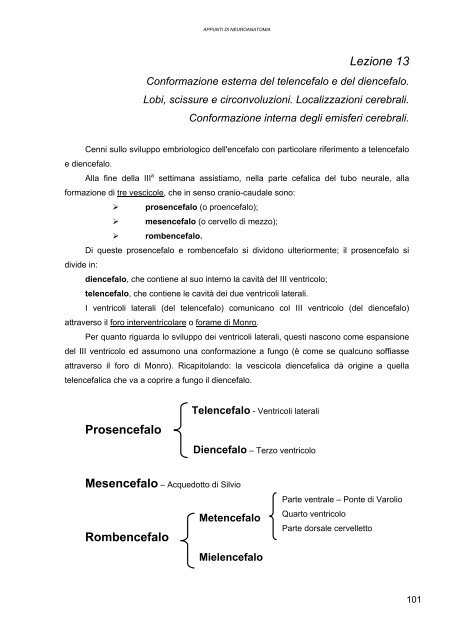 Lezione 13 Prosencefalo Mesencefalo Rombencefalo