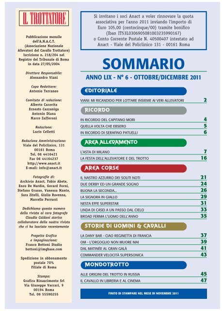 Cavallo Sella Italiano: origini, carattere e caratteristiche - Idee Green