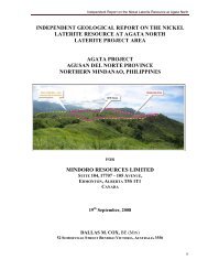 independent geological report on the nickel laterite resource