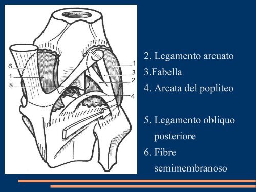 le lassita' rotatorie postero-laterali del ginocchio ... - Effecifisioterapia.it