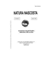 Natura Nascosta n° 41