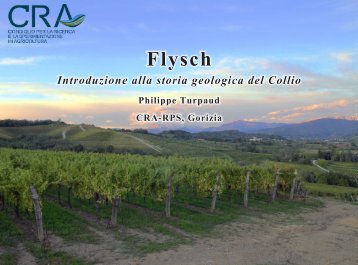 Flysch - storia_geologica - Progetto CRA-LAVIARTE