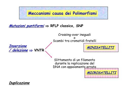 lezione 09-10 Polimorfismi 12/10/2011