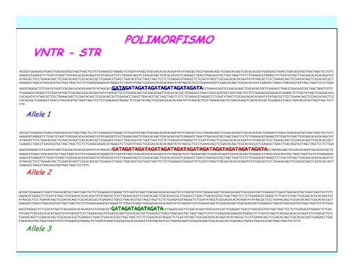 lezione 09-10 Polimorfismi 12/10/2011