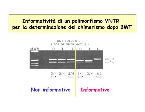 lezione 09-10 Polimorfismi 12/10/2011