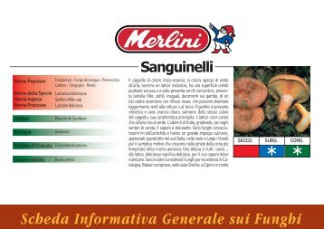 Scheda Informativa Generale sui Funghi - Siqurcatering.it