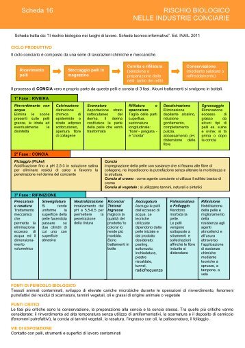 Scheda concerie - Sicurezza sul lavoro - Inail