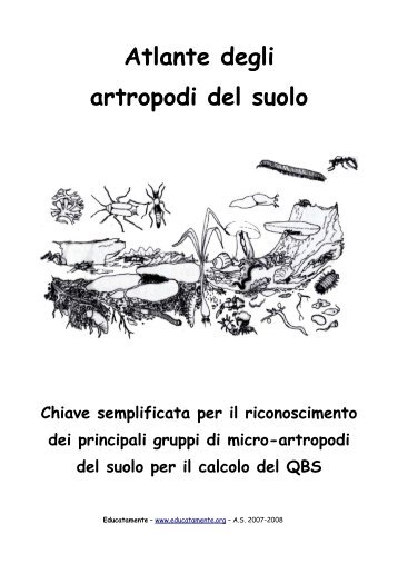 Atlante degli artropodi del suolo Chiave ... - Educatamente