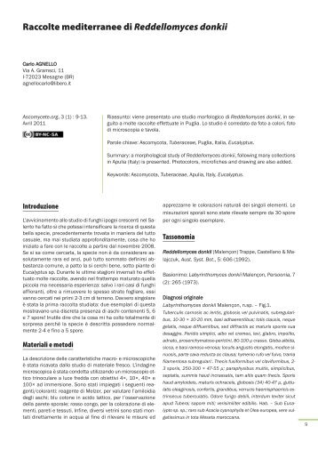 AscomyceteOrg 03-01_AscomyceteOrg