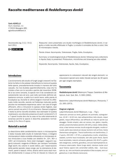 AscomyceteOrg 03-01_AscomyceteOrg