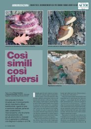 Così simili così diversi - Il Verde Editoriale